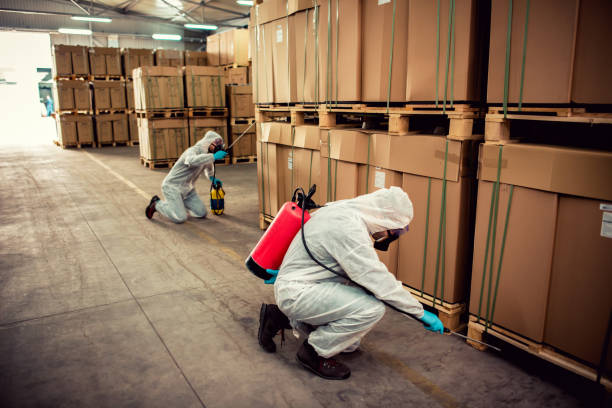 Best Rat Extermination Near Me  in White Hall, AR
