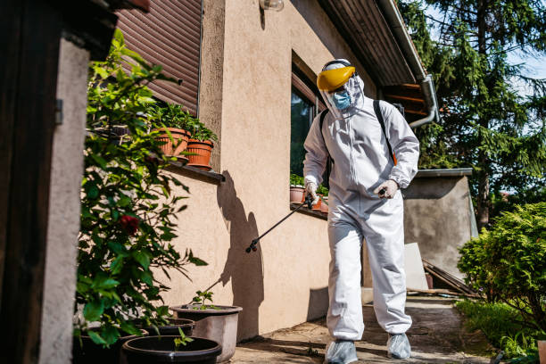 Best Exterminator Services  in White Hall, AR