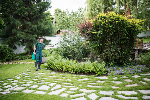 Best Mosquito Control Services  in White Hall, AR