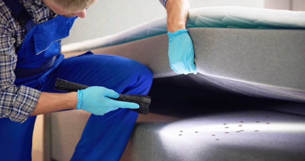Best Pest Prevention Services  in White Hall, AR